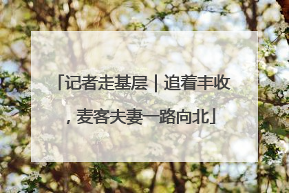 记者走基层｜追着丰收，麦客夫妻一路向北